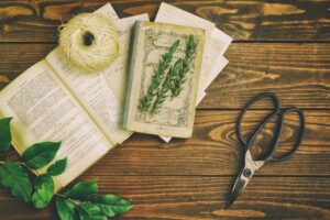 園芸と造園の違いや仕事と資格について