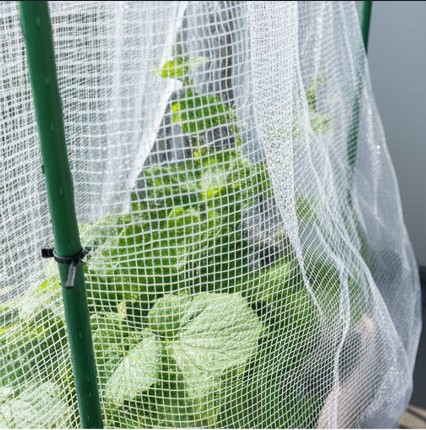 防虫ネットの効果と銀糸のメリット