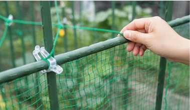 園芸支柱に専用クリップを使ってネットをきれいに張る様子