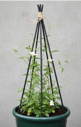 短く切った支柱を組み合わせて自作した、おしゃれな黒色のガーデントレリスと絡まる植物