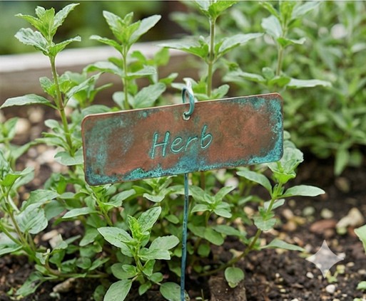 経年変化で美しい緑青が出た銅製の園芸ラベルが、植物の枝に余裕を持たせたワイヤーで取り付けられている様子