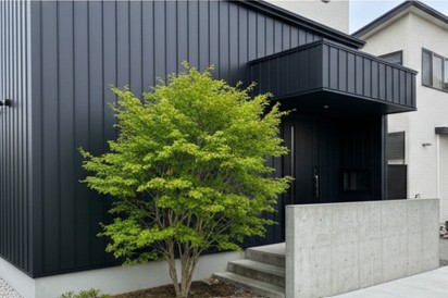 モダンな外構ともみじの調和