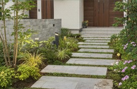 洋風の外構にマッチするシンボルツリーのオリーブ。シルバーリーフが美しく、玄関周りを明るく演出している様子。