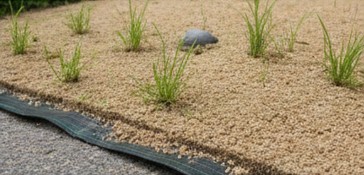 真砂土の層から生えてくる雑草と、その下に敷くべき防草シートの構造イメージ