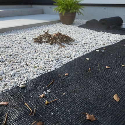 庭の砂利でゴキブリを防ぐ対策法