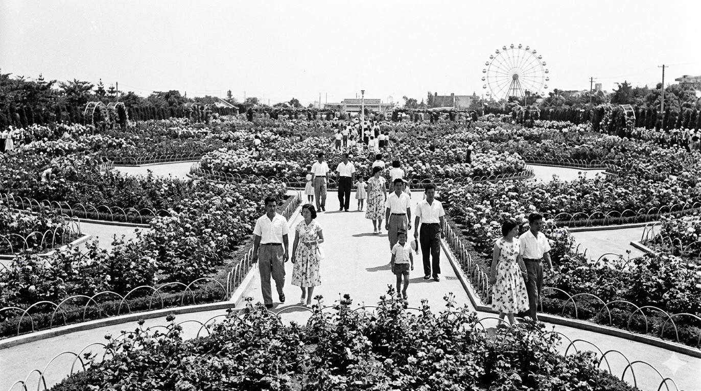 京阪園芸70周年の歴史と代表的なバラ品種