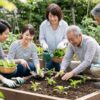 園芸サークルで広がる輪！初心者向けの探し方と活動のメリット