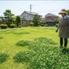 庭のクローバーが増えすぎる！完全駆除と予防の対策ガイド