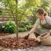 失敗しない庭のマルチング術！おしゃれな防草・防虫のコツ
